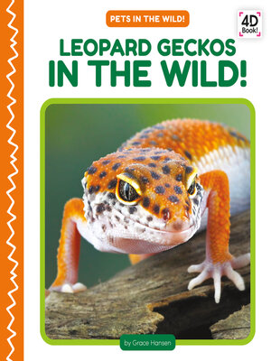 cover image of Leopard Geckos in the Wild!